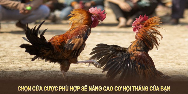 Chọn cửa cược phù hợp sẽ nâng cao cơ hội thắng của bạn