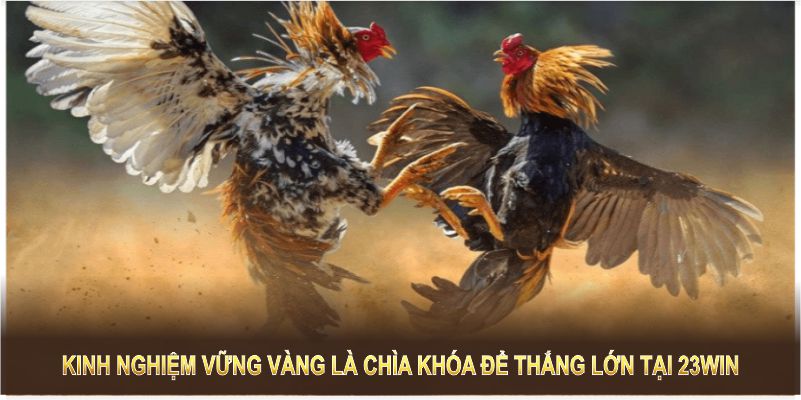 Kinh nghiệm vững vàng là chìa khóa để thắng lớn tại 23Win